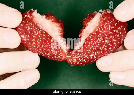 Nahaufnahme von Fingern Rippen auseinander Erdbeere Stockfoto