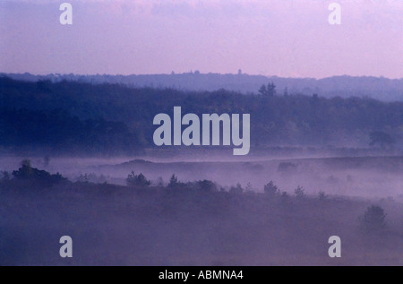 Nebligen Sonnenaufgang über Krabben Baum Moor in der neuen Gesamtstruktur Hampshire UK Stockfoto