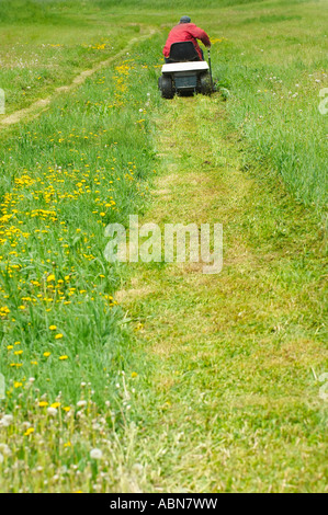 Mann auf Reiten Rasenmäher Stockfoto