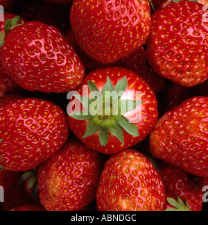 Obst Erdbeeren Stockfoto
