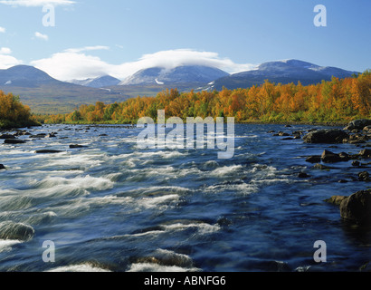 Abisko Fluss im Abisko Nationalpark in Schwedisch-Lappland Stockfoto