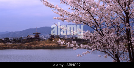 Neben dem Yakushiji-Tempel in der Nähe von Nara Japan Kirschblüte Stockfoto