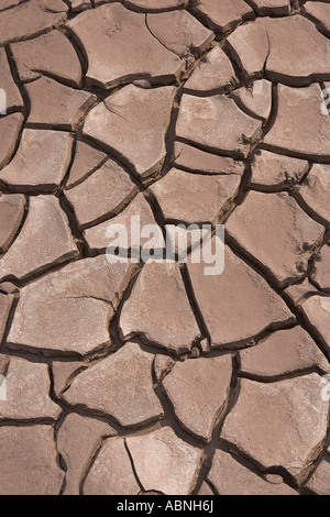 Gebrochene Schlamm bei Ebbe, Bay Of Fundy, Nova Scotia, Kanada Stockfoto