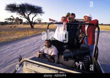 Giraffen und Impalas unter Dorn Akazie mit Touristen im Land Rover auf Safari in Simbabwe Stockfoto