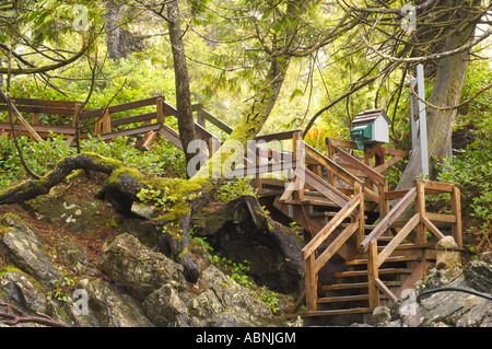 Treppe im Park, Vancouver Island, British Columbia, Kanada Stockfoto