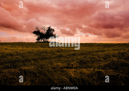 Landschaft mit orangefarbenen Himmel bei Sonnenuntergang. Schöne lebendige Farben im Vordergrund und Hintergrund. Stockfoto