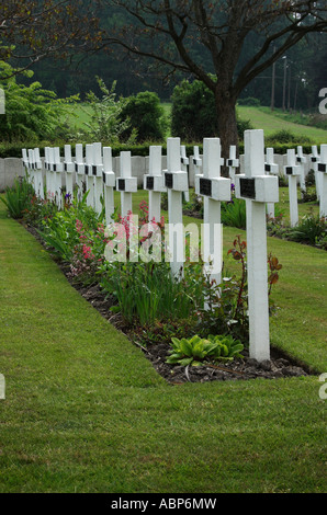 Gräber von französischen Soldaten des Ersten Weltkrieges longuenesse Friedhof St Omer Frankreich Stockfoto