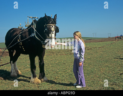 UK März junges Mädchen streicheln Nase ein Shire Horse im Wettbewerb mit den Vintage-Pflügen-Match Stockfoto