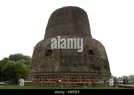 Sarnath buddhistische Stupa in der Nähe von Banaras Varanasi Uttar Pradesh, Indien Stockfoto