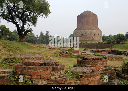 AAD78984 Sarnath buddhistische Stupa in der Nähe von Banaras Varanasi Uttar Pradesh, Indien Stockfoto