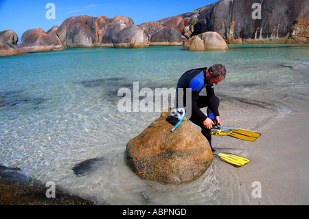 Mann im Neoprenanzug schnorcheln Elephant Rocks in der Nähe von Dänemark südlichen Western Australia gehen wird vorbereitet Stockfoto