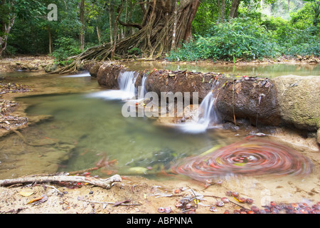 Tat Sae fällt, Luang Prabang Stockfoto