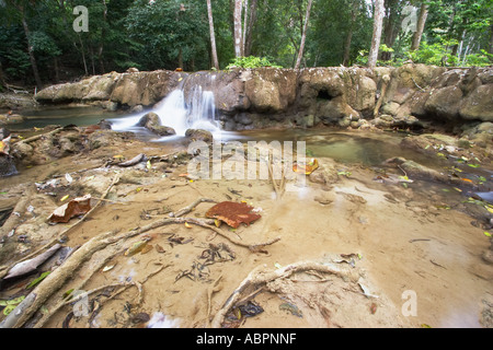 Tat Sae fällt, Luang Prabang Stockfoto