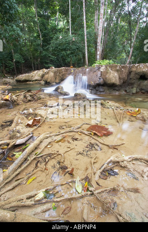 Tat Sae fällt, Luang Prabang Stockfoto