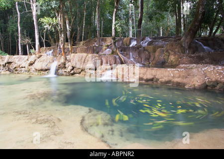Tat Sae fällt, Luang Prabang Stockfoto