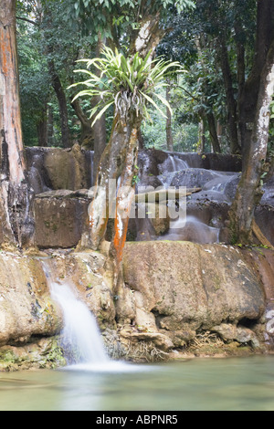 Tat Sae fällt, Luang Prabang Stockfoto