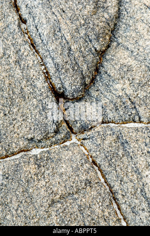 Banded Gneis metamorpher Felsen auf der Isle of Harris, äußeren Hebriden, Schottland, UK, Europa, Mai Stockfoto