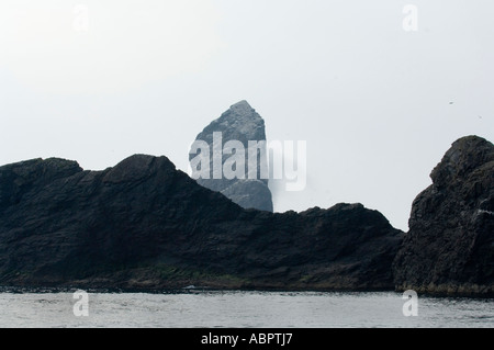 Cliff Boreray, St Kilda Archipel, äußeren Hebriden, Western Isles, Schottland, UK, Europa Stockfoto