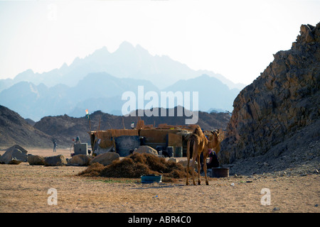 Beduinen-Camp in der Wüste Sahara in der Nähe von Hurghada Ägypten Stockfoto