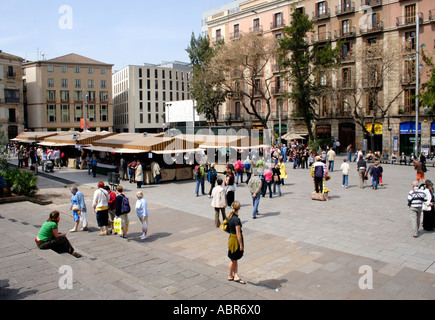 Placa De La Seu Barcelona Stockfoto