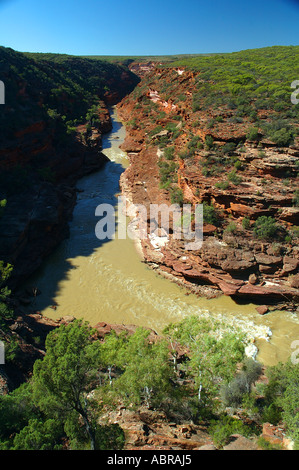 Murchison River fließt durch rote Felsschlucht auf der Z biegen Kalbarri National Park Western Australia Stockfoto