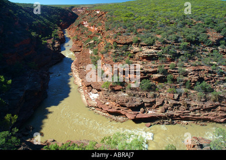 Murchison River fließt durch rote Felsschlucht auf der Z biegen Kalbarri National Park Western Australia Stockfoto