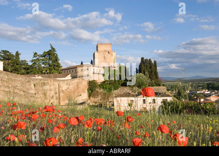 Burg von Trastamara Enrique 11 in Ciudad Rodrigo den Turm, umrahmt von einer fließenden Bereich der Mohn bei Sonnenuntergang mit alten Stadtmauern Stockfoto