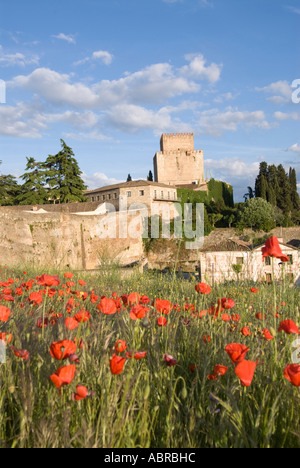 Burg von Trastamara Enrique 11 in Ciudad Rodrigo den Turm, umrahmt von einer fließenden Bereich der Mohn bei Sonnenuntergang mit alten Stadtmauern Stockfoto