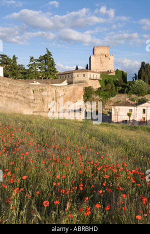 Burg von Trastamara Enrique 11 in Ciudad Rodrigo den Turm, umrahmt von einer fließenden Bereich der Mohn bei Sonnenuntergang mit alten Stadtmauern Stockfoto