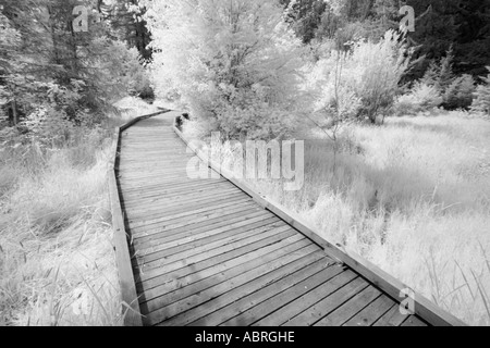 Weg Stockfoto