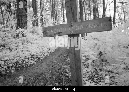 Trail-Zeichen im Wald Stockfoto