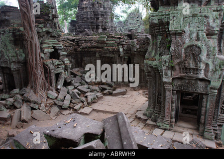 Die Ruinen der Tempel Ta Prohm in Angkor, Kambodscha. Stockfoto