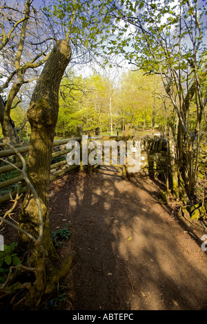 Aussicht vom Crickley Hill Country Park in der Nähe von Gloucester und Cheltenham Website der neolithischen Eisenzeit Burgberg Gloucestershire Stockfoto