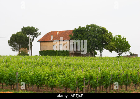 Die berühmten und sehr teuren Wein Chateau Le Pin stammt aus diesem Weinberg und das "Schloss" ist dieses unscheinbare Gebäude Pomerol Bordeaux Gironde Aquitaine Frankreich Stockfoto