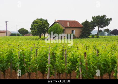 Die berühmten und sehr teuren Wein Chateau Le Pin stammt aus diesem Weinberg und das "Schloss" ist dieses unscheinbare Gebäude Pomerol Bordeaux Gironde Aquitaine Frankreich Stockfoto