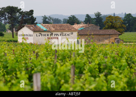 Château La Tour du Pin Figeac Moueix derzeit renoviert und seinen Weinberg Saint Emilion Bordeaux Gironde Aquitaine Frankreich Stockfoto