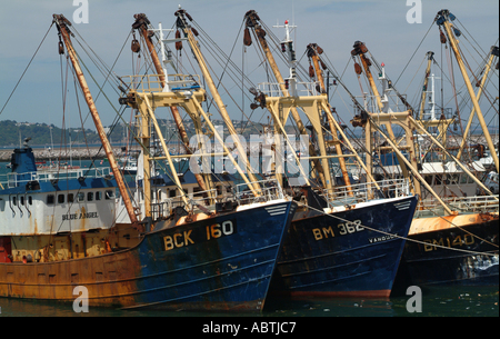 Trawler am Fisch Kai im Hafen von Brixham Devon England Vereinigtes Königreich UK Stockfoto