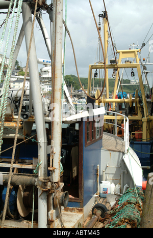 Angelboote/Fischerboote im Hafen von East Looe Cornwall England Vereinigtes Königreich UK angedockt Stockfoto