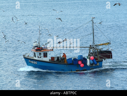 Fischkutter, umgeben von Möwen verlassen Falmouth Harbour in River Fal Cornwall England Vereinigtes Königreich Großbritannien Stockfoto