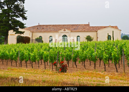 Die neu renovierte Chateau Petrus gesehen über seine Weinberge gepflanzt mit Merlot-Weinberge, einen Rosenbusch im Vordergrund Pomerol Bordeaux Gironde Aquitaine Frankreich Stockfoto