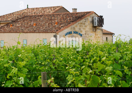 Chateau Lafleur Saint Jean gesehen über die Weinberge Pomerol Bordeaux Gironde Aquitaine Frankreich Stockfoto