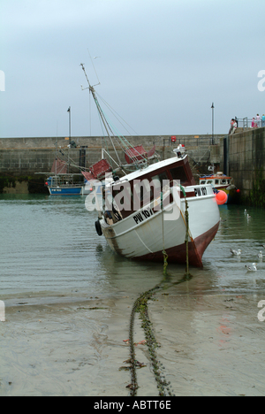 Angelboot/Fischerboot im Hafen Newquay Cornwall England Vereinigtes Königreich UK gestrandet Stockfoto