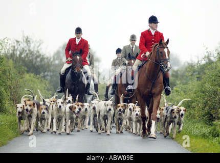 Ledbury Hunt in Gloucestershire UK kehrt von einem Morgen s Fuchsjagd Stockfoto