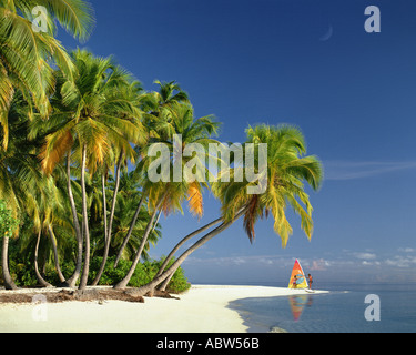 MV - Malediven: Strand entlang des Indischen Ozeans Stockfoto