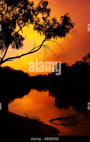 Sunrise Murray River Moama neue Wales Süden Victoria Australien Stockfoto