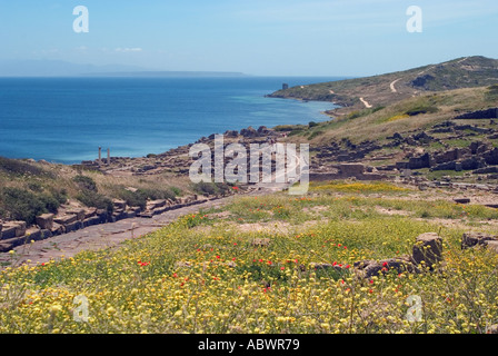 Römische Ruinen von Tharros. Sinis Halbinsel, Provinz Oristano, Sardinien Stockfoto