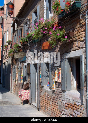 Blumenkästen hängen über dem Eingang zum Shop in Chioggia Italien Stockfoto