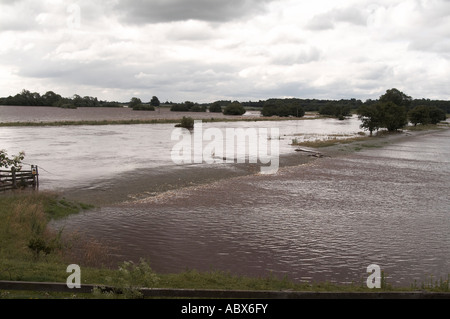 Flut, Wasser, in der Nähe, John, Schmiede, Brauerei, in Tadcaster, Nord, Yorkshire, Starkregen, Juli 2007, Überschwemmungen, planen, überflutet, ri Stockfoto