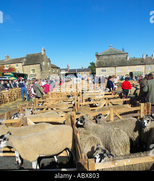 Schafe zeigen - Schafe in Stifte auf der Masham Schafe Fair, Yorkshire, England, UK Stockfoto