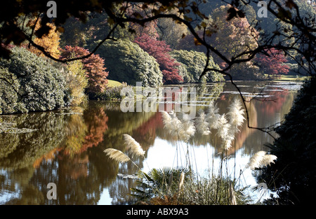 Herbst in Sussex, England, Saison der Nebel und milde Fruchtbarkeit Stockfoto
